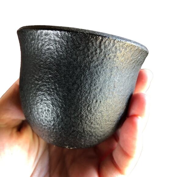 WAZUQU Tetsubin Japanese Cast Iron Teapot Set Warmer Cups Coasters Leaf Cottage - Picture 5 of 13